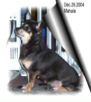 mahala122904goodweb.jpg
