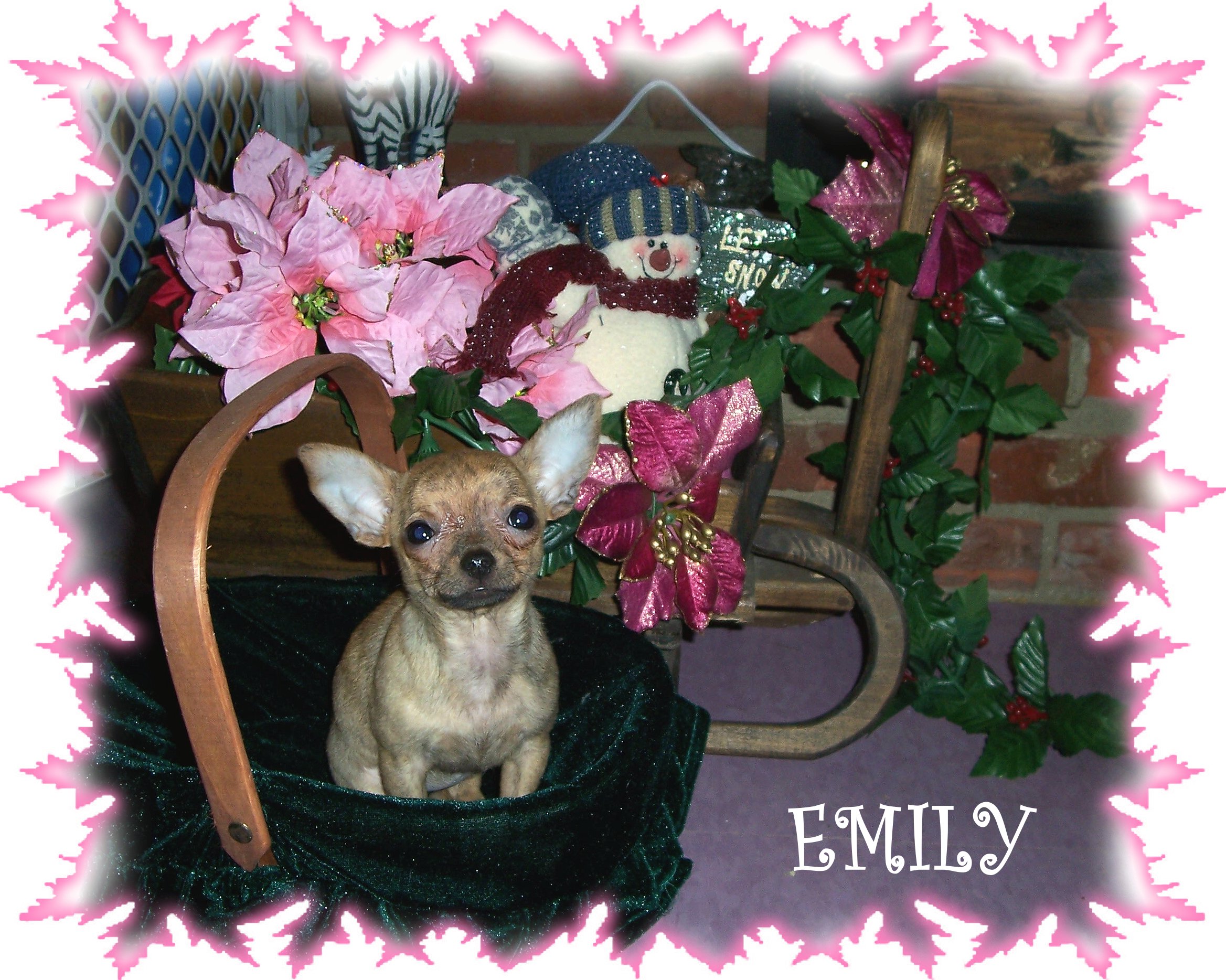 emilydec2104.jpg