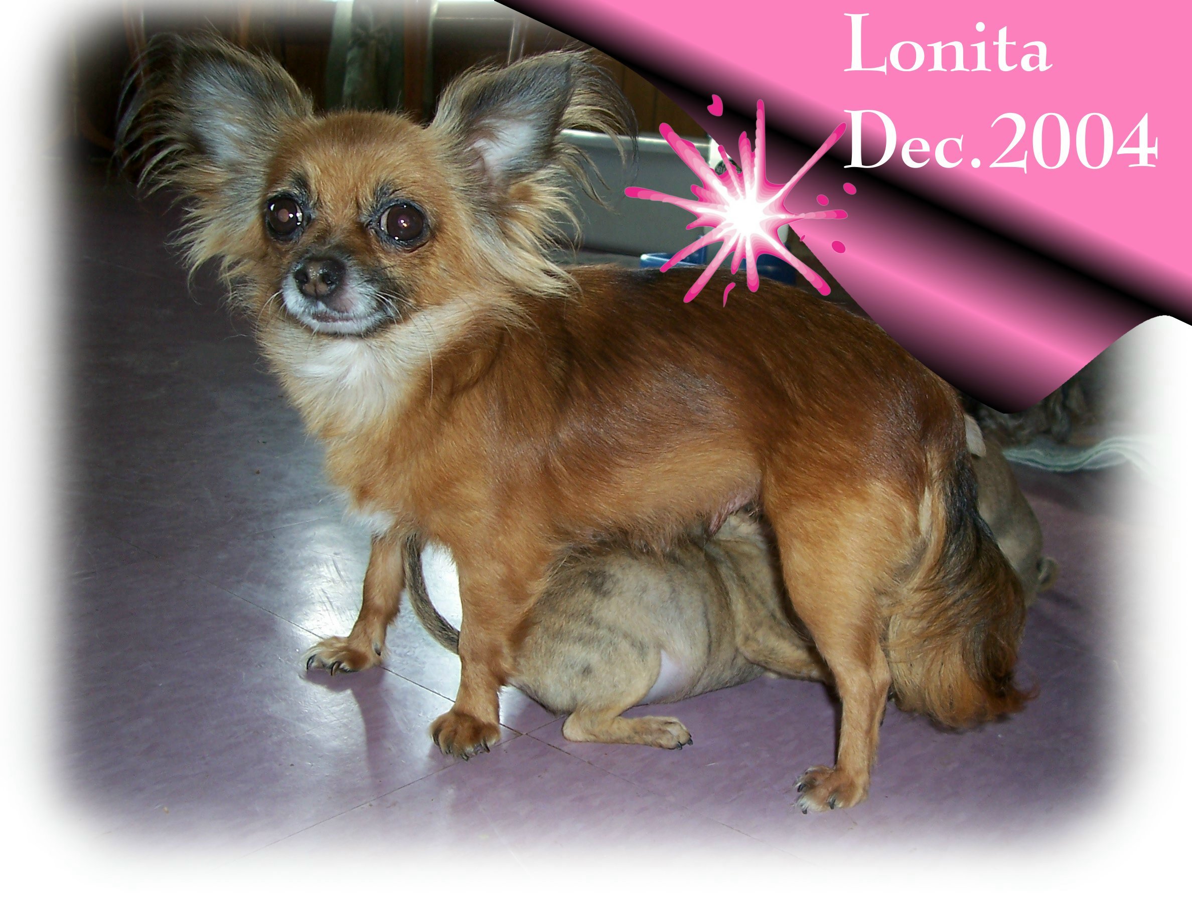 lonita.jpg